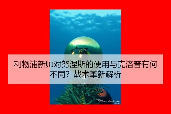 li-wu-pu-xin-shuai-dui-nu-nie-si-de-shi-yong-yu-ke-luo-pu-you-he-bu-tong-zhan-shu-ge-xin-jie-xi-2-653.jpg